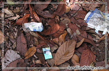 Cigarette box and newspapers