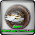 About Handlinefishing.com