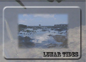 Tide tables and Info
