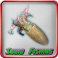 Guide to Squid Fishing