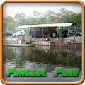 Punggol Pond