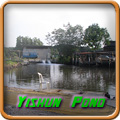 Yishun Pond
